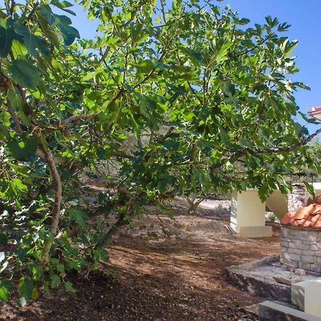 Holiday Home In Blato Insel Korcula 6411 プリグラディサ エクステリア 写真